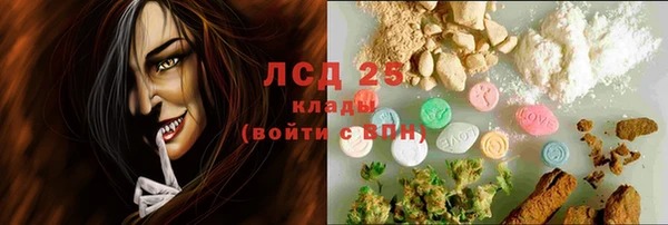 ГАЛЛЮЦИНОГЕННЫЕ ГРИБЫ Тавда
