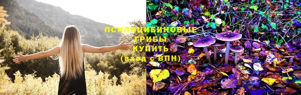 амфетамин Ветлуга