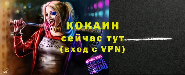 МДПВ Тайга