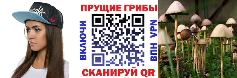 Псилоцибиновые грибы MAGIC MUSHROOMS  darknet телеграм  Козьмодемьянск 